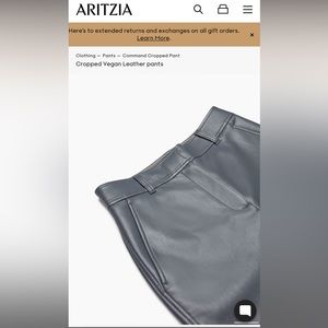 command pants -aritzia